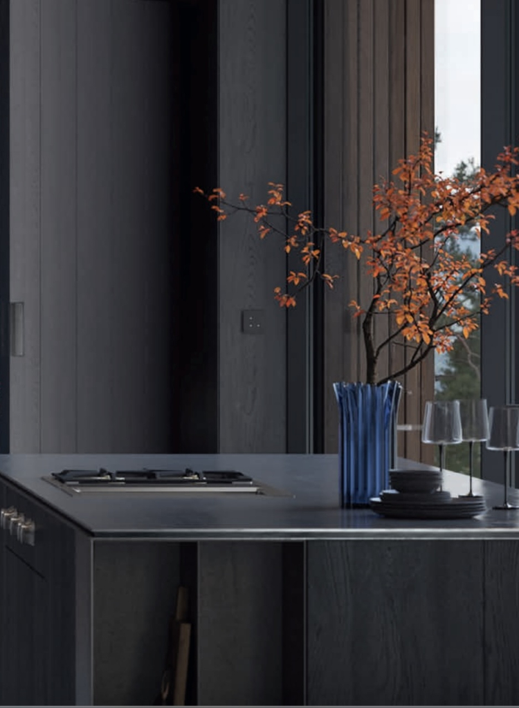 ilo plaque cuission gaggenau