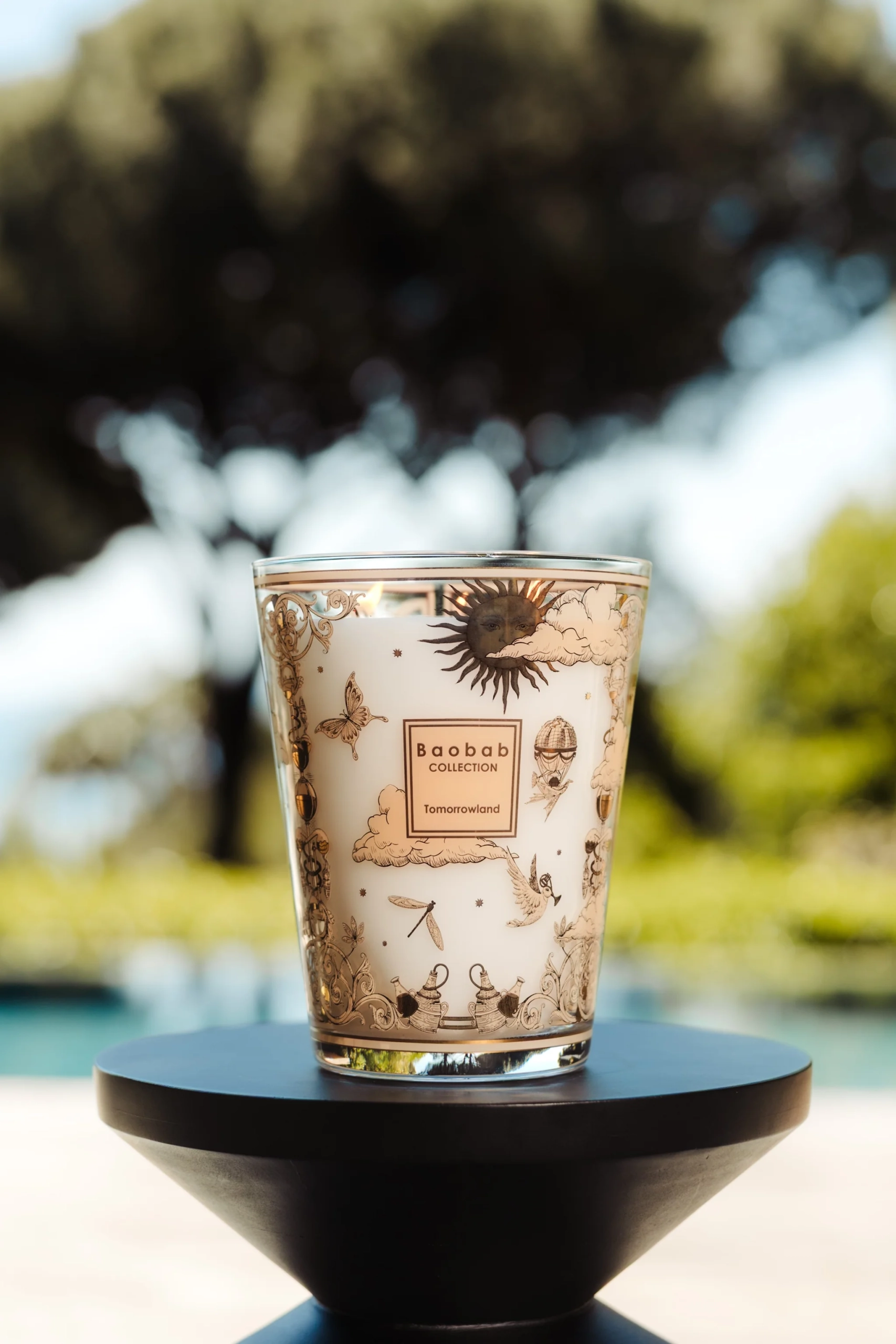 Baobab St Tropez 553 2048x