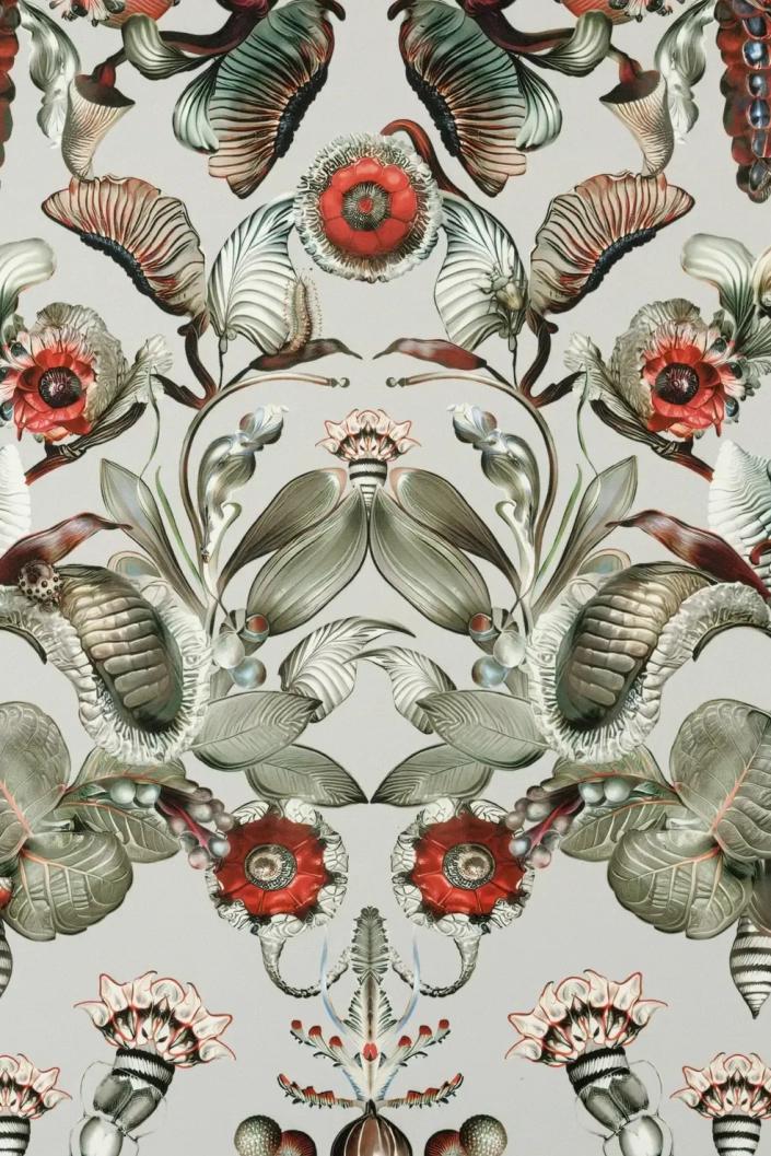 Moooiwallcoveringgreenhouse Coccinellabella Mo5000 Variant